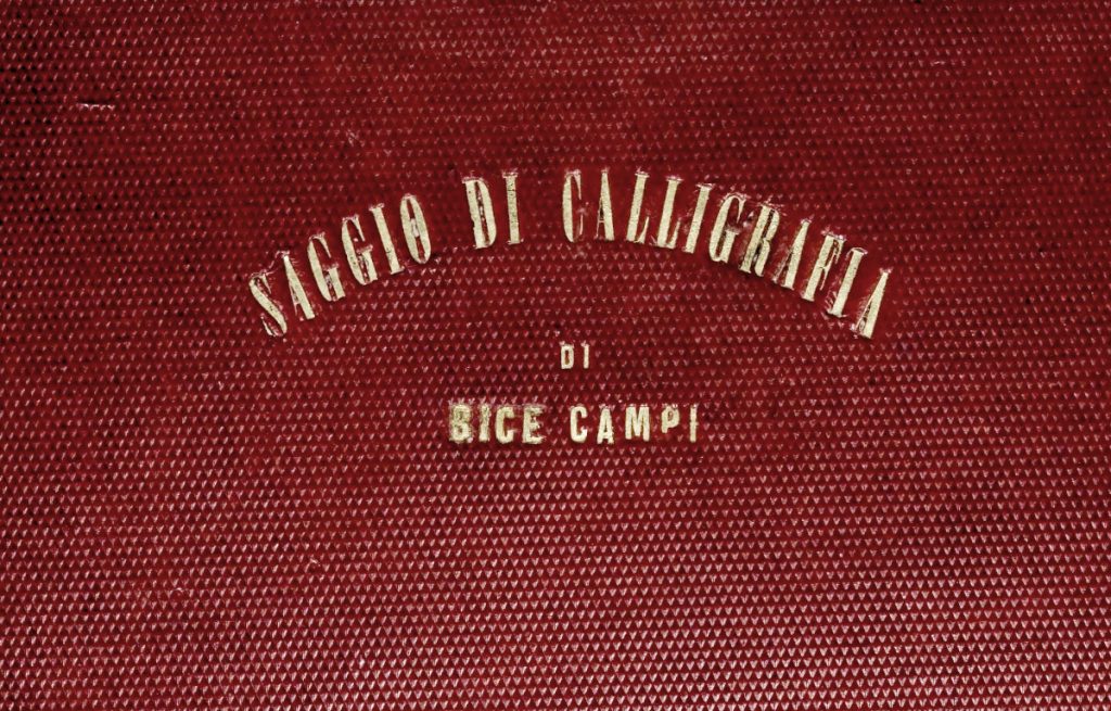 Подробнее о статье Saggio di calligrafia